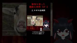 動物を使った残酷な拷問 TOP 3