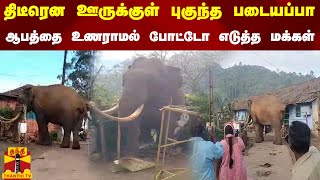 திடீரென ஊருக்குள் புகுந்த படையப்பா - ஆபத்தை உணராமல் போட்டோ எடுத்த மக்கள்