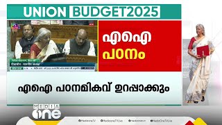 ഇൻഷുറൻസ് മേഖലയിലെ നേരിട്ടുള്ള വിദേശ നിക്ഷേപം 100 ശതമാനം