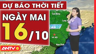 Dự báo thời tiết ngày mai 16/10: Hà Nội tăng nhiệt, Đà Nẵng đến Quảng Ngãi mưa to | ANTV
