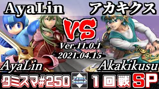 【スマブラSP】タミスマSP250 1回戦 AyaLin(ロックマン/ルキナ) VS アカキクス(勇者) - オンライン大会