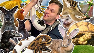 Feeding 100+ Exotic Pets: My INSANE Daily Routine