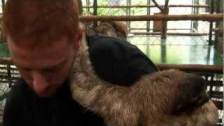 Trying to Clean a Sloth Cage