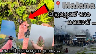 വീട്ടുമുറ്റത്ത് വരേ കഞ്ചാവു കൃഷി 🍁😇|ലഹരി മണക്കുന്ന ഗ്രാമം📍malana||ഇവിടെ എല്ലാവരും on ആണ് 💥1️⃣8️⃣