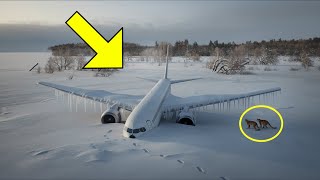 Scientists Found a Plane Buried in Alaska — What They Discovered Inside Shocked Everyone!