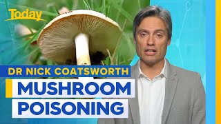 Top doctor's warning of mushroom foraging dangers | TODAY Show Australia