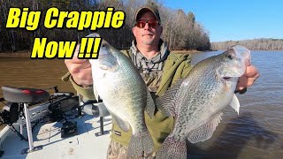 Simple way to catch Big Crappie in February/Kerr Lake Crappie