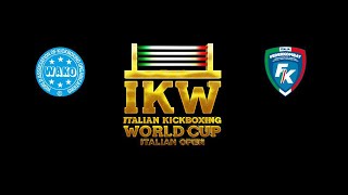 Italian World Cup 2024 Highlights