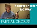 Partial or Full Banjo Chords ** Beginner Banjo players WATCH THIS ***