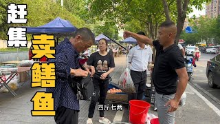 拐哥今年头一次赶集卖鳝鱼，35元一斤的价格，半小时就全部卖完了