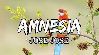 José José - Amnesia [letra]