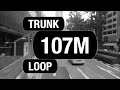 SBS Transit Trunk 107M (BFTP 2021) | Bus Service Route Visual