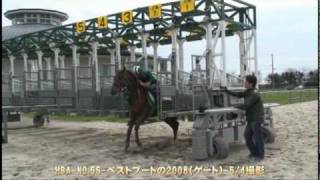 ＨＢＡトレーニングセール２０１０（Ｎｏ．５５、ゲート）