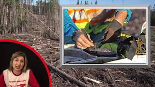 Tree Planter Training 2019 - Maximizing Productivity