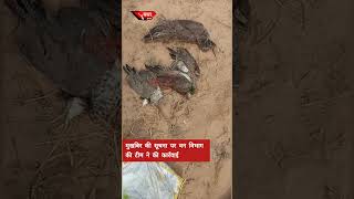 खेतड़ी से बड़ी खबर jhunjhunu news khetri