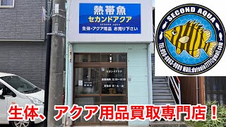 【セカンドアクア】生体とアクア用品買取専門店【東京都江戸川区一之江】