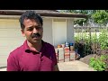 കാനഡയിലെ പാലാക്കാരന്റെ അടുക്കളത്തോട്ടം vegetable garden ideas 750 kg beans diy garden veg garden