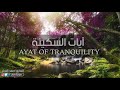 آيات السكينة والطمأنينة القارئ أحمد النجار ayat of tranquility sakinah