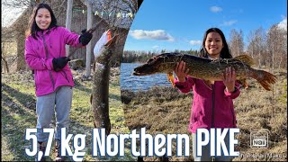 5,7 KILO Northern PIKE caught || Fishing Adventure PART 2 || KATISKA