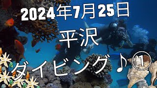 【海洋実習】2024年7月25日平沢ダイビング♪①【スキューバダイビング】【マンツーマン】