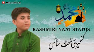beautiful Kashmiri naat status _ New kashmiri naat whatsapp status - kashmiri status