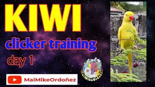 MAIMIKEORDOÑEZ VLOG 105 || KIWI CLICKER TRAINING DAY 1