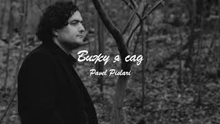 Pavel Pislari - Вижу я сад (Lyric audio)