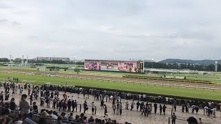 2019年6月23日 東京競馬場 パラダイスステークス（11R） ライブ