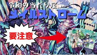 【蒼騎天嵐】新型メイルストロームは確定Vスタンド！？