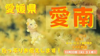 144本目 今年2回目！愛媛県愛南の海で潜ってきました！愛南の海を詳しく紹介しまーす！！ むらいだョ！全員集合