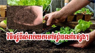 How to Combine Land for Planting របៀបផ្សំដីសំរាប់ដាំដំណាំ