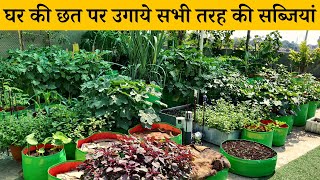 घर पर सब्जियां कैसे उगाये जानें छत पर सब्जी उगाने की विधि | Chhat Par Kheti Karne Ka Tarika | Garden