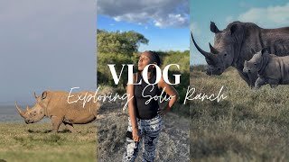 TWENDE SOLIO RANCH (GAME DRIVE EXPERIENCE) NANYUKI, KENYA   HD 1080p