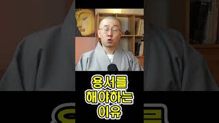 [위광사TV 스님상담 카카오톡 오픈! 댓글확인] 용서를 해야하는 이유#Shorts