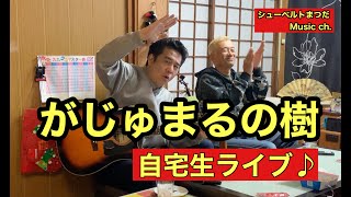 名護特集〜がじゅまるの樹〜おいちゃん宅で生ライブ