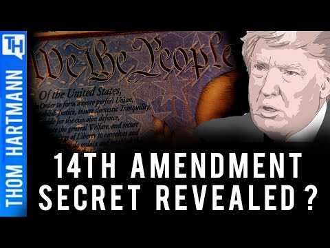 Can the 14th Amendment Actually Stop Trump? Historians Issue Dire Warning