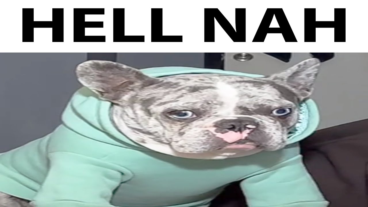 Hell Nah Youtube