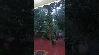 kallukootam kanyakumari district heavy rain 🌧️🌩️🌧️