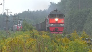 Берёзки – Кеб. День из жизни ж/д участка Псков – Дно. Частое движение поездов