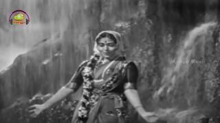 Chitapata Chinukulu Songs | Chitapata Chinukulu Full Video Song | Aatma Balam Telugu Movie | ANR