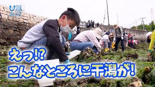 親子で干潟観察会　広島干潟生物研究会 日本財団 海と日本PROJECT in 広島 2022 #02