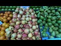 Central Market Port Louis Mauritius - Jagan Nath Productions