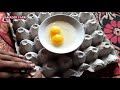 একটি ডিমে দুটি কুসুম। double yolk amader farm sonali murgi সোনালী মুরগি পালন আমাদের ফার্ম sonali