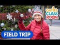 The Twelve Trees Of Christmas | Caitie's Classroom Field Trip | Counting Video For Kids