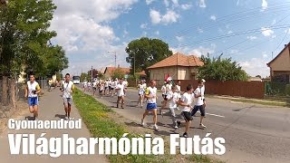 Világharmónia Futás Gyomaendrődön (World Harmony Run)