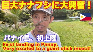 パナイ島観光 昆虫採集 巨大ナナフシ発見で大興奮！巨大昆虫 フィリピ旅行 Encountered a giant stick insect in Panay Island, Philippines