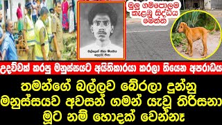 තමන්ගේ සුන්ඛයාව බේරලා දුන්න මනුස්සයට අයිතිකාරයා කරලාතියෙන දේ- What has been done to the innocent man