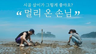 시골집 🏕 찾아온 동생과 조개잡고 🦪 시골시잘 콩국수 먹고 🍜 / 리틀포레스트 같은 5도2촌 시골살이