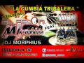 intentalo ft cumbia tribalera mix 2011