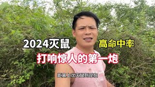 小伙灭鼠命中率高，收获满满一笼田鼠回家，打响了2024年第一炮